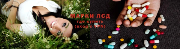 spice Белоозёрский