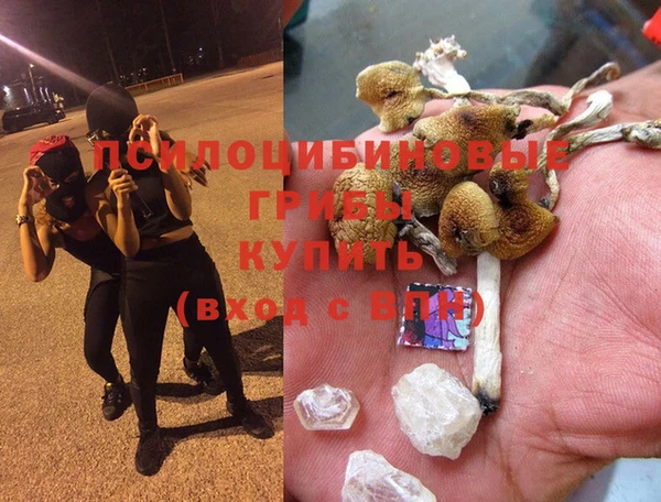 дурь Беломорск