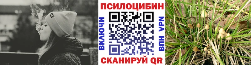 Псилоцибиновые грибы ЛСД  купить   площадка телеграм  Белоозёрский 